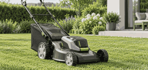 Walk-behind lawn mower on a green lawn