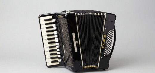 Best Concertinas for Beginners and Experienced Players